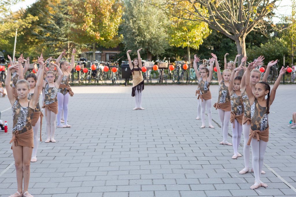 Schoolplein Festival A146.jpg